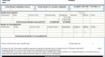 Deuda tributaria: ¿cómo eliminarla?